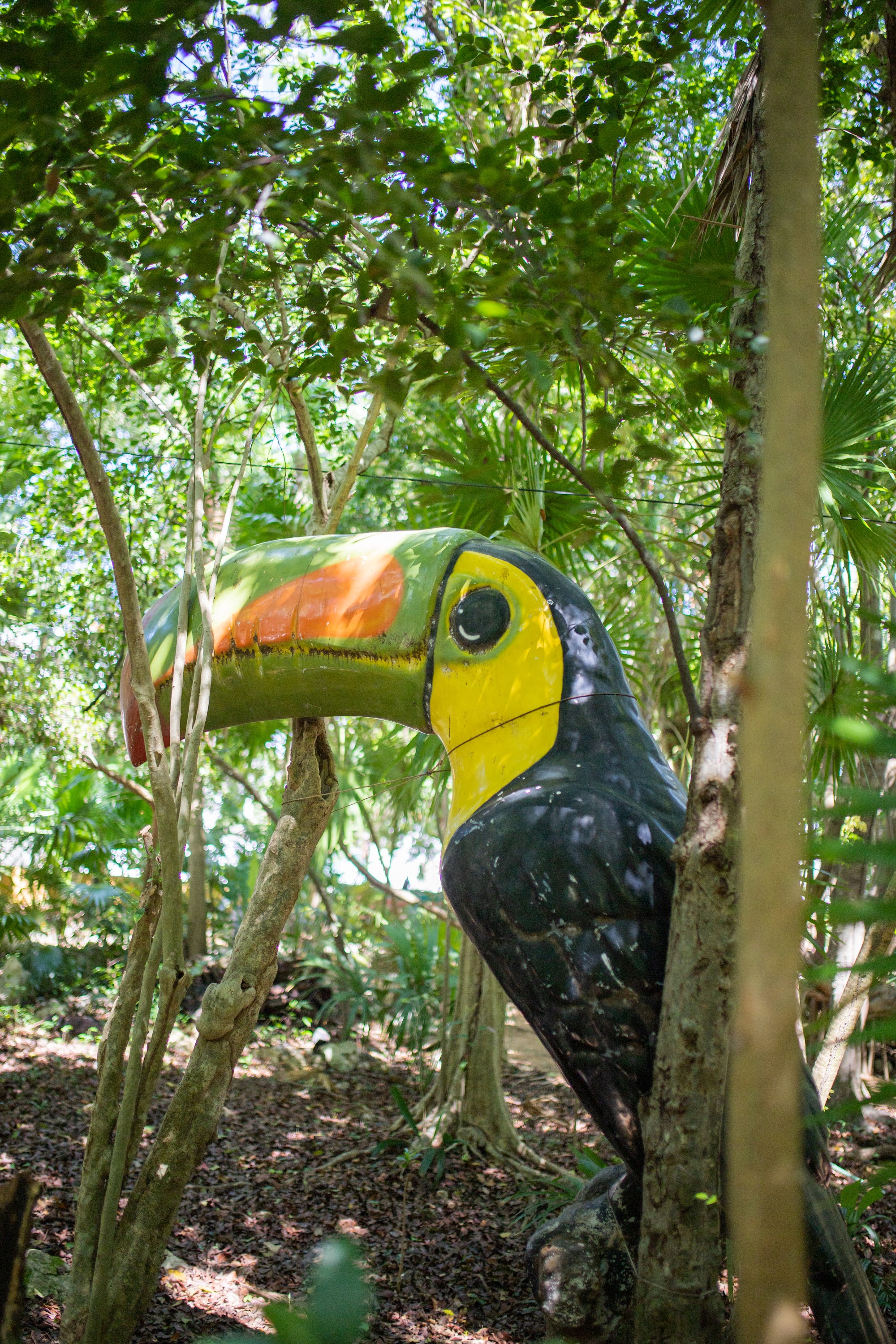 _MG_2632.jpg