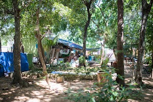 _MG_2634.jpg