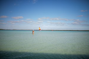 _MG_3653.jpg