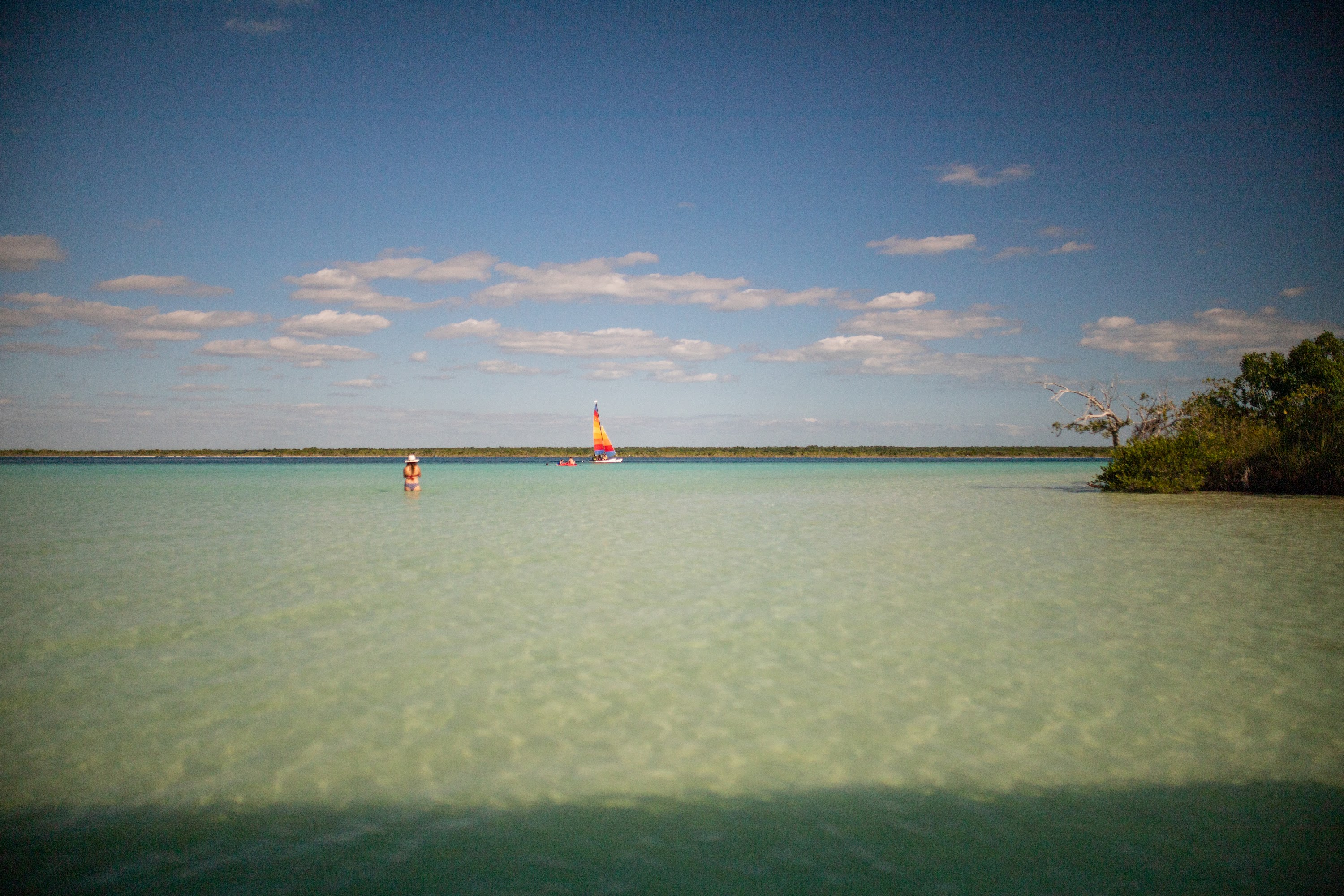 _MG_3655.jpg