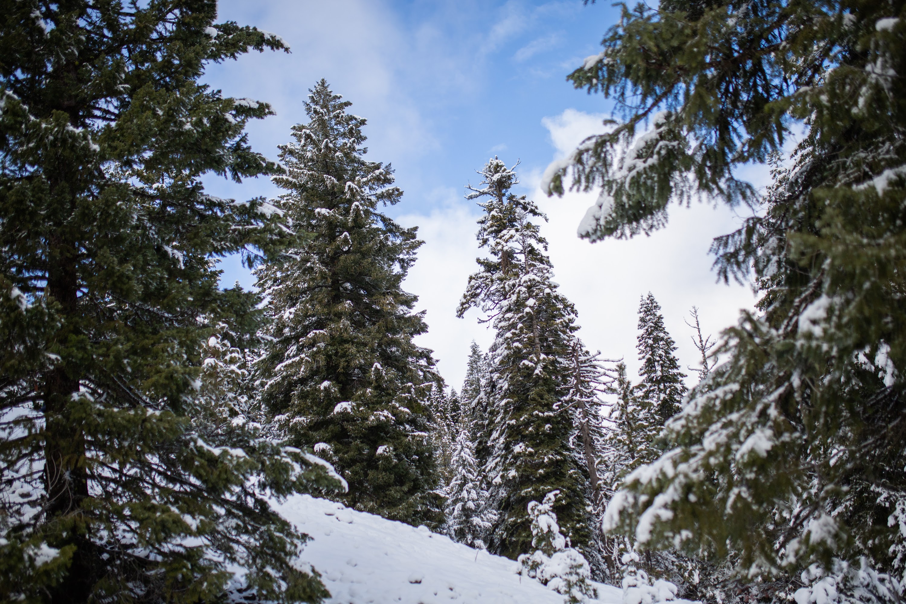 _MG_6127.jpg