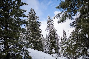 _MG_6127.jpg