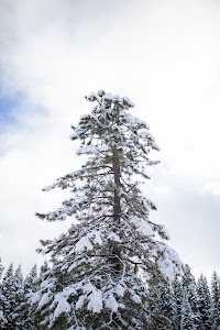 _MG_6132.jpg