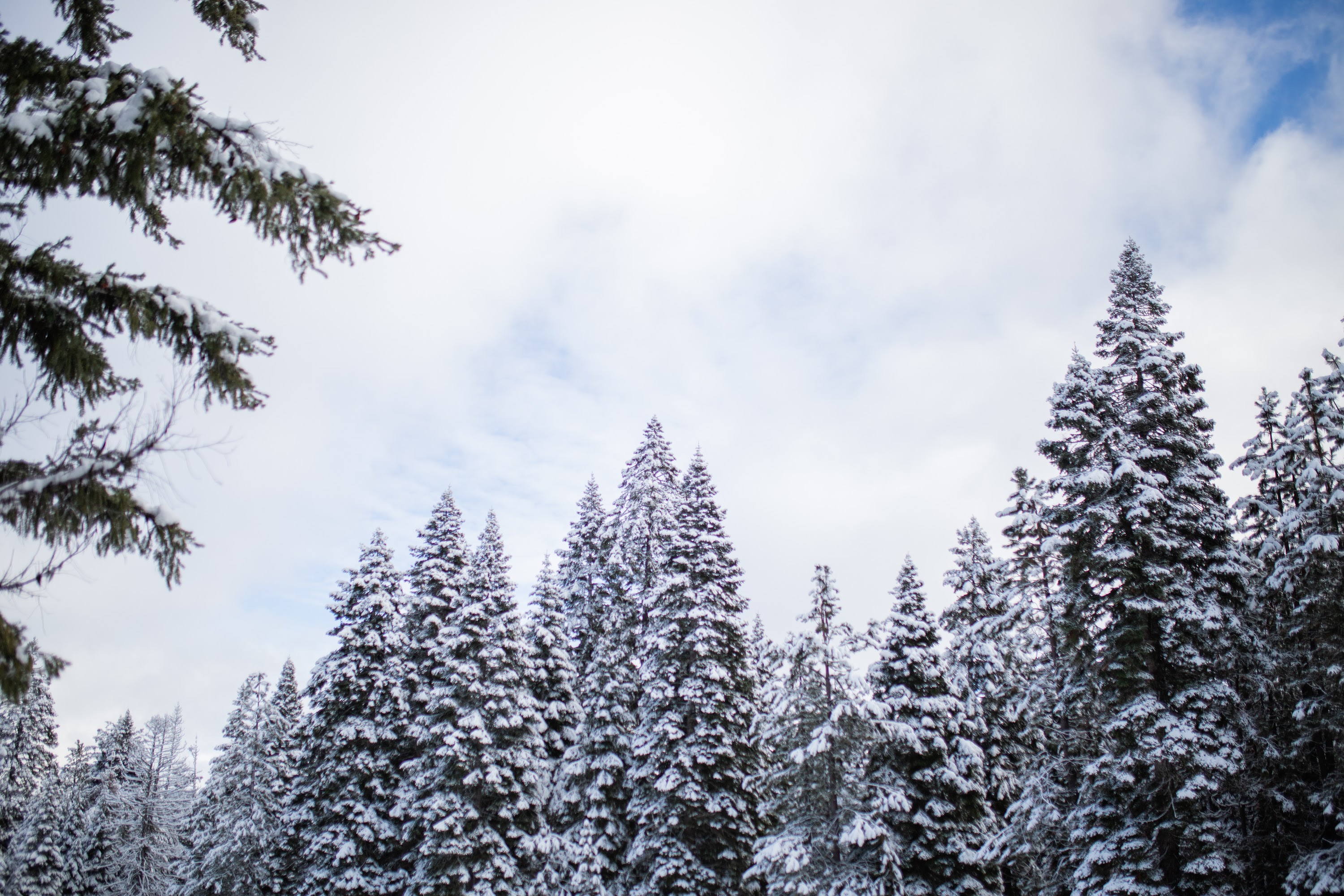 _MG_6133.jpg