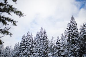 _MG_6133.jpg