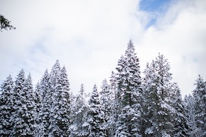 _MG_6134.jpg