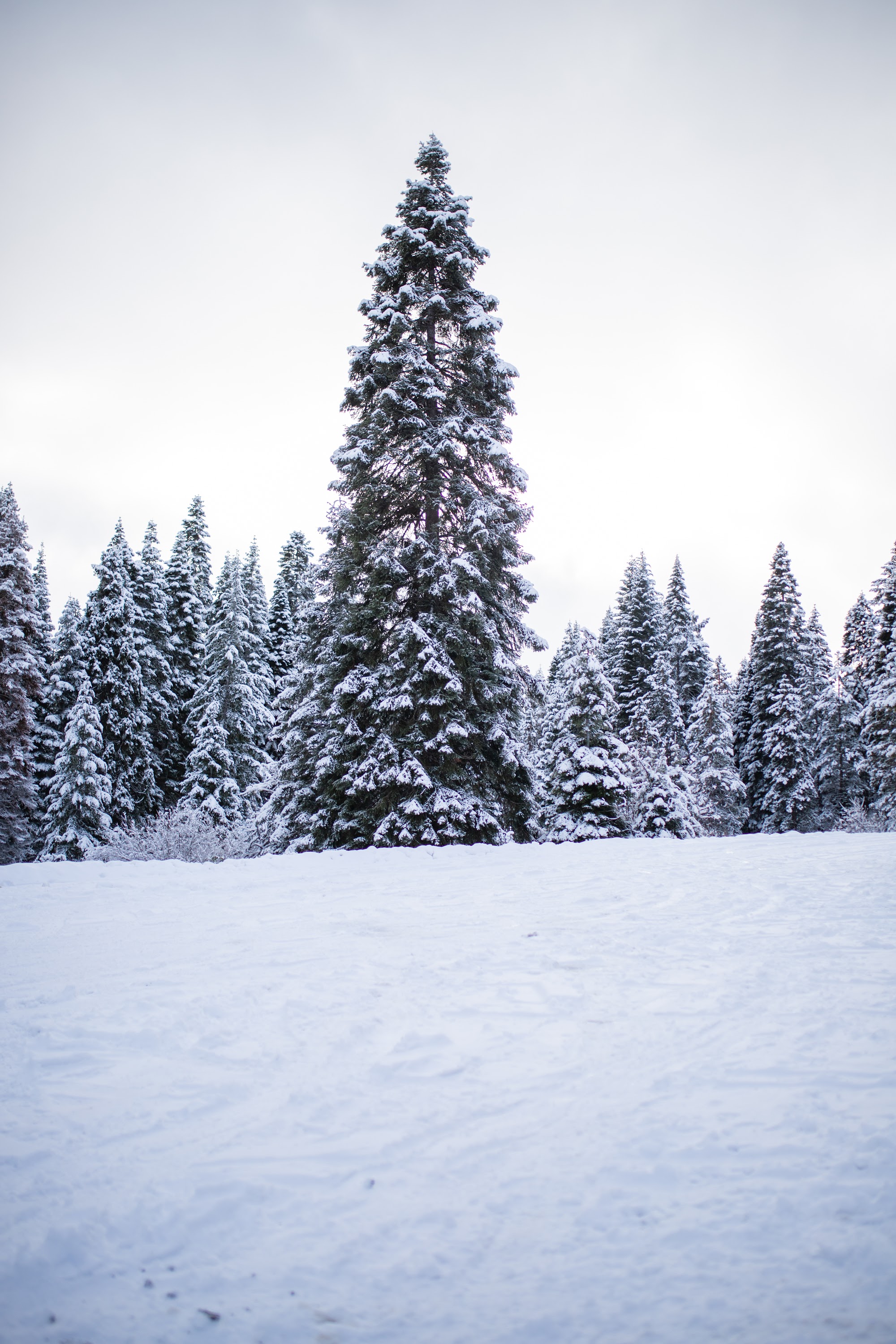 _MG_6187.jpg