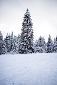 _MG_6187.jpg