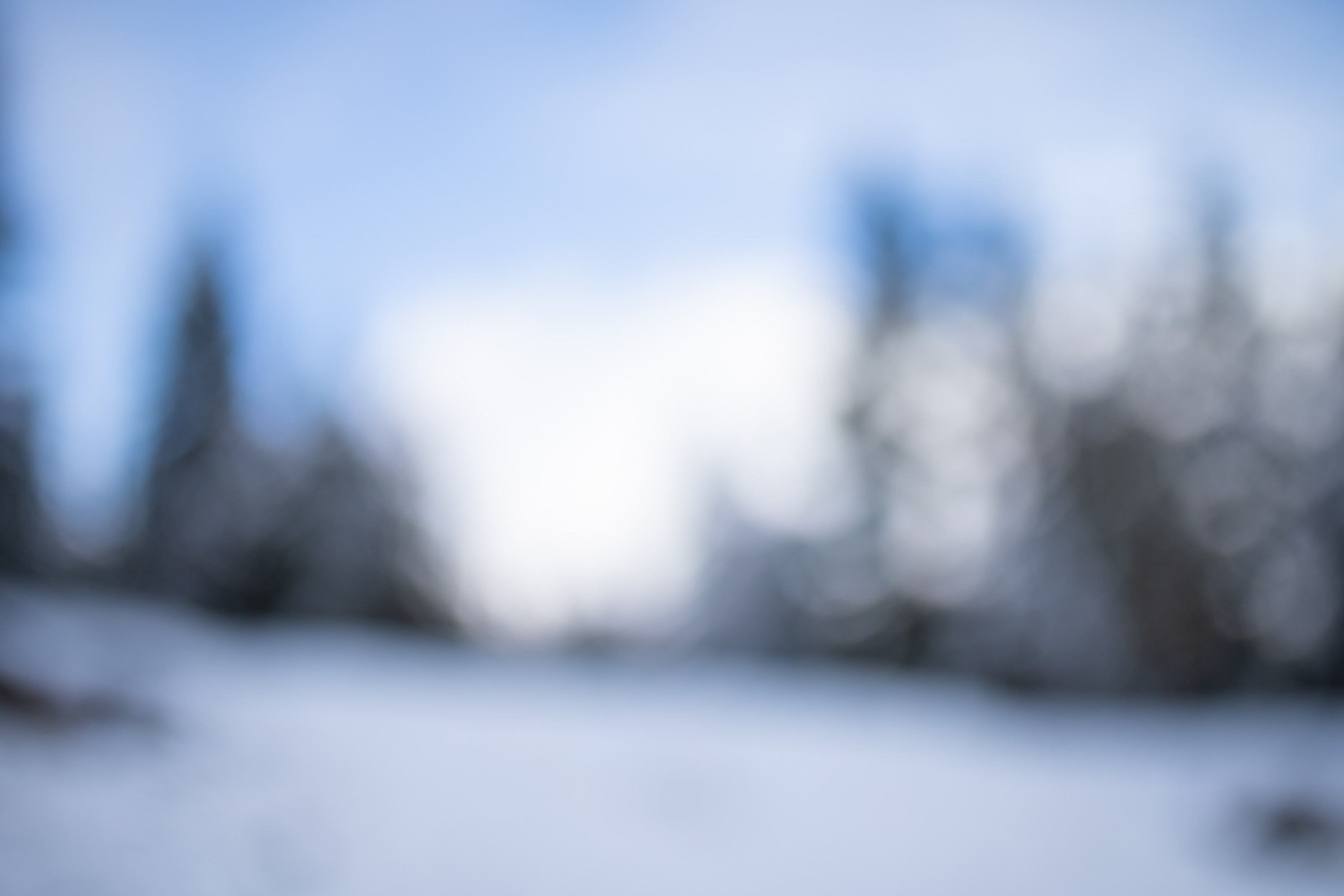 _MG_6193.jpg