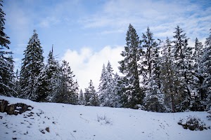_MG_6194.jpg