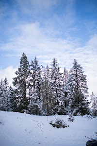 _MG_6196.jpg