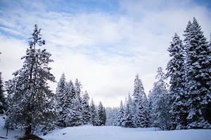 _MG_6199.jpg