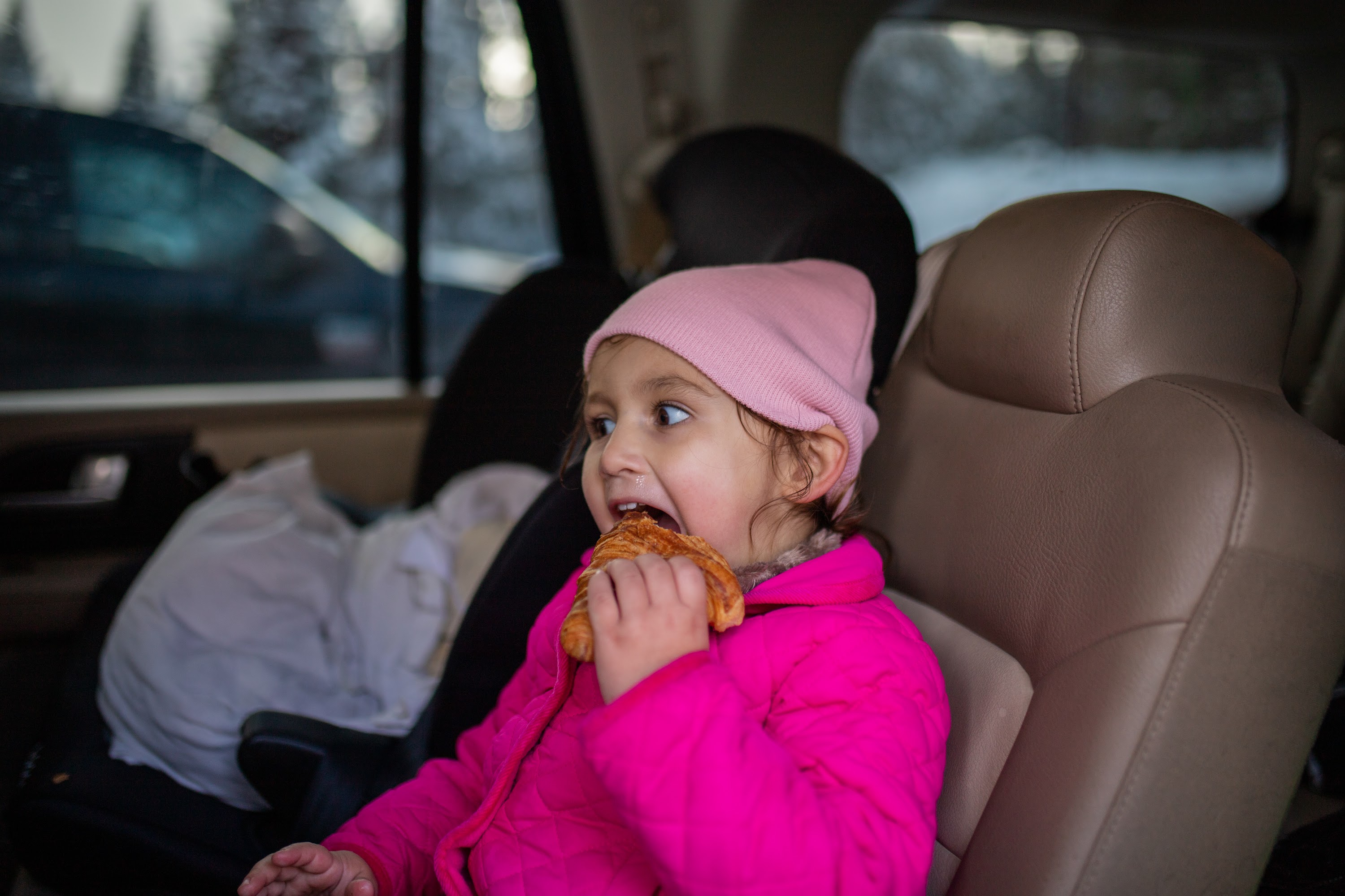 _MG_6206.jpg