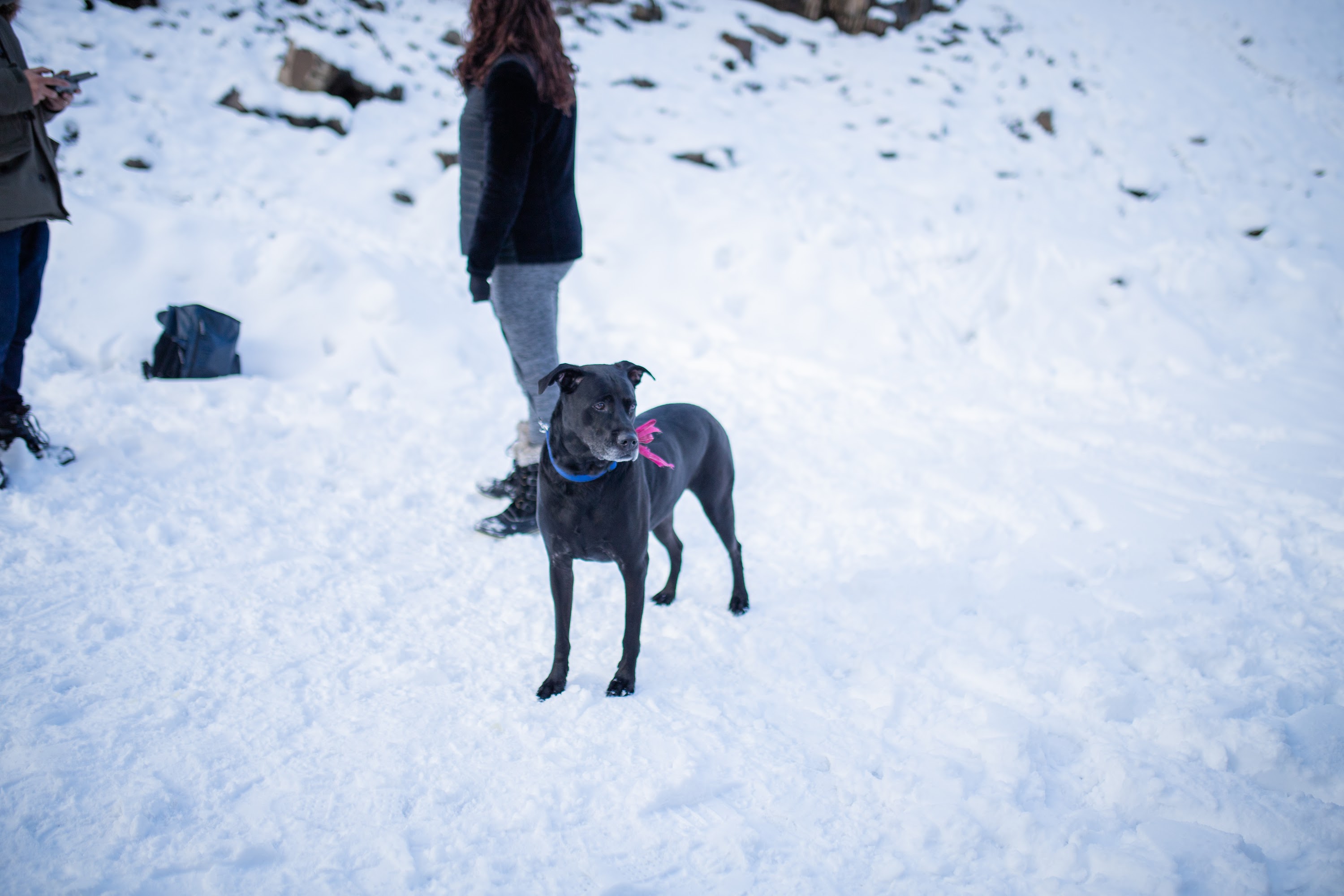 _MG_6216.jpg