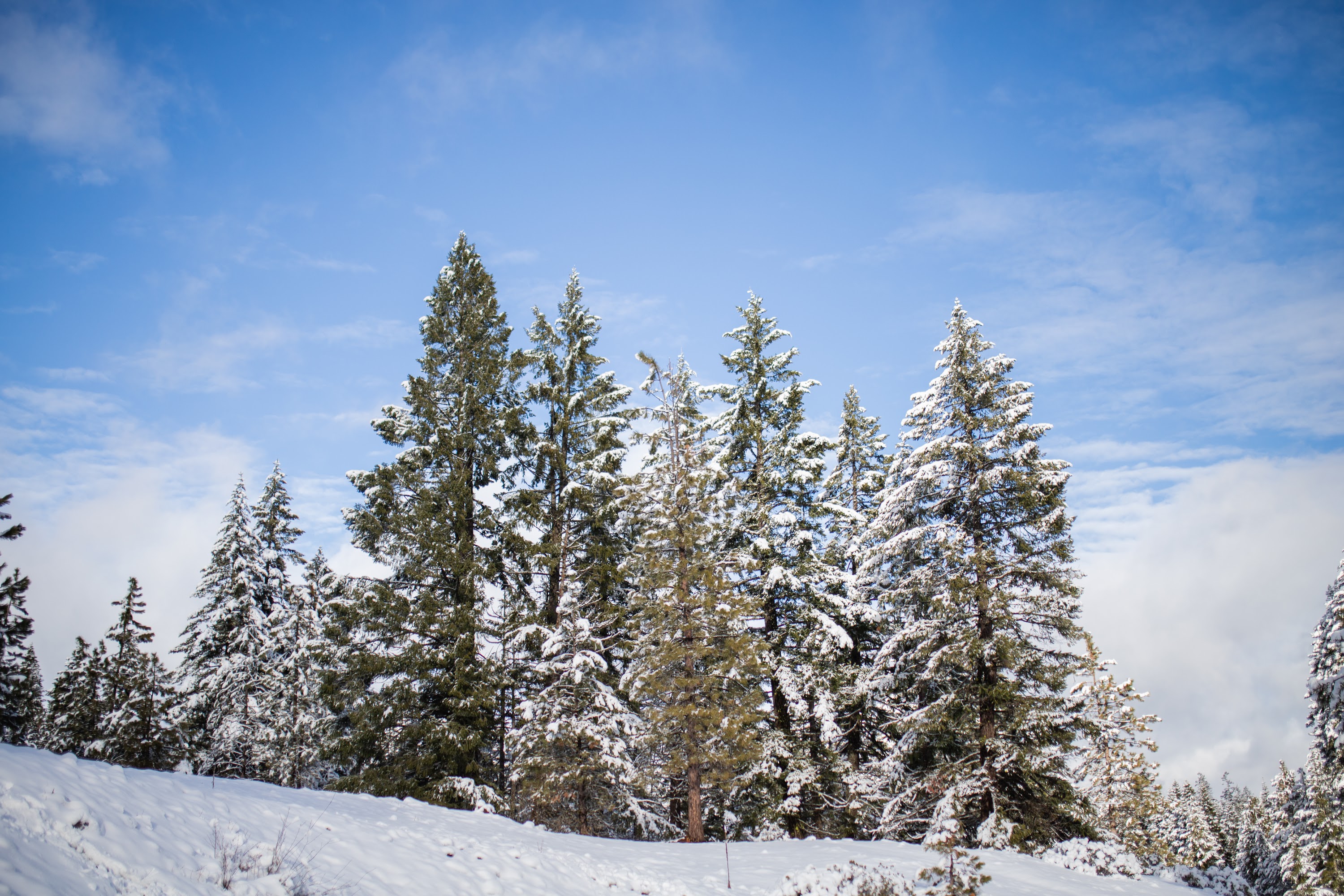 _MG_6230.jpg