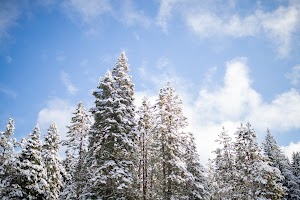 _MG_6272.jpg