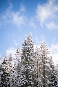 _MG_6273.jpg