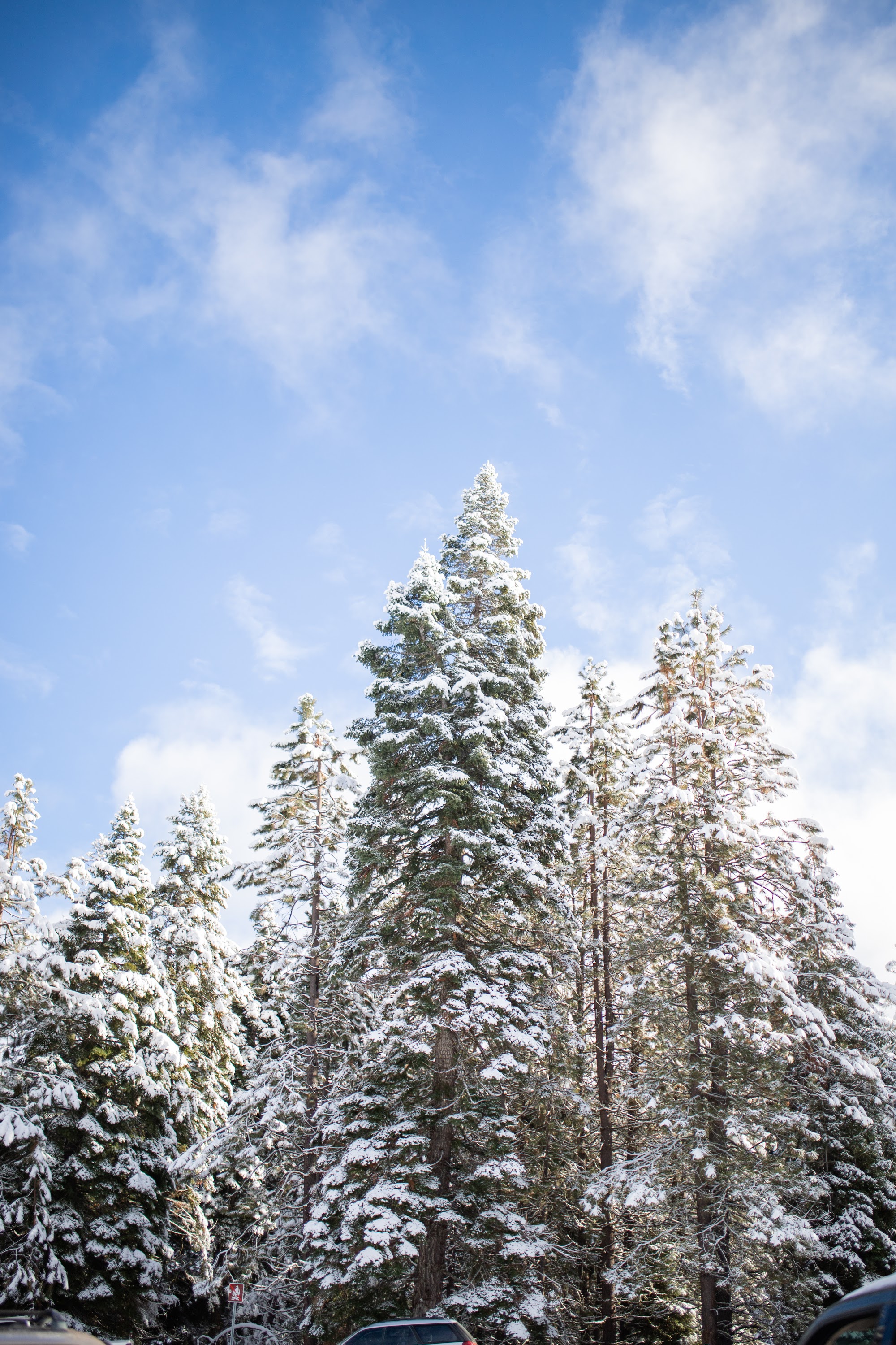 _MG_6274.jpg