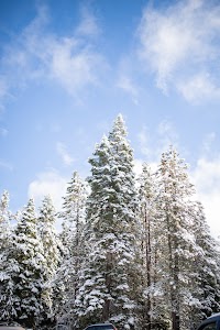 _MG_6274.jpg