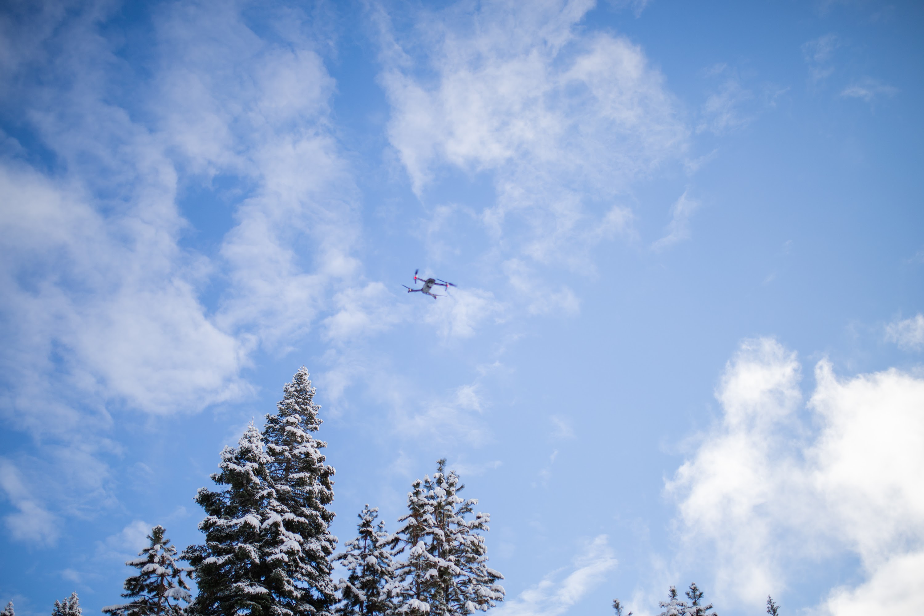 _MG_6311.jpg
