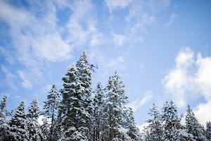 _MG_6314.jpg