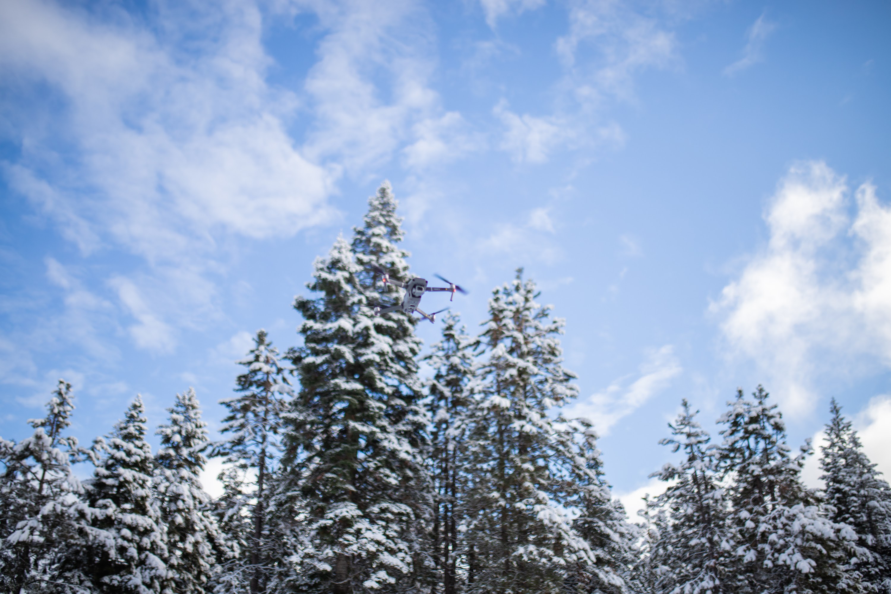 _MG_6316.jpg