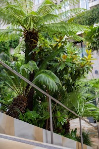 IMG_4336.jpg
