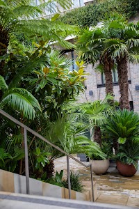 IMG_4338.jpg
