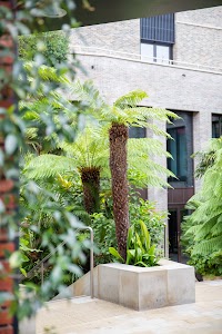 IMG_4358.jpg
