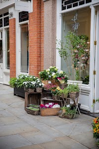 IMG_4682.jpg
