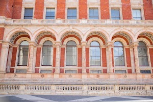 IMG_8980.jpg