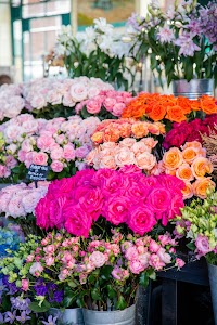 IMG_9226.jpg