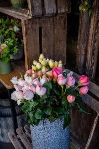 IMG_9335.jpg