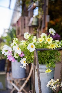 IMG_9344.jpg