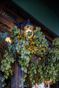 IMG_9358.jpg