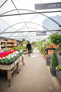 IMG_9470.jpg