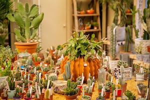 IMG_9566.jpg