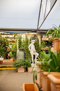 IMG_9645.jpg