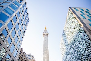 IMG_9970.jpg