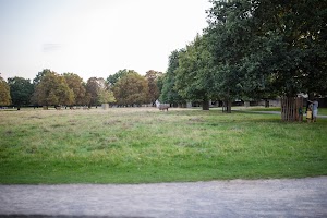 IMG_0335.jpg
