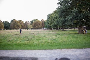 IMG_0337.jpg