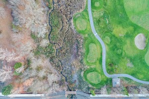 DJI_0362.jpg