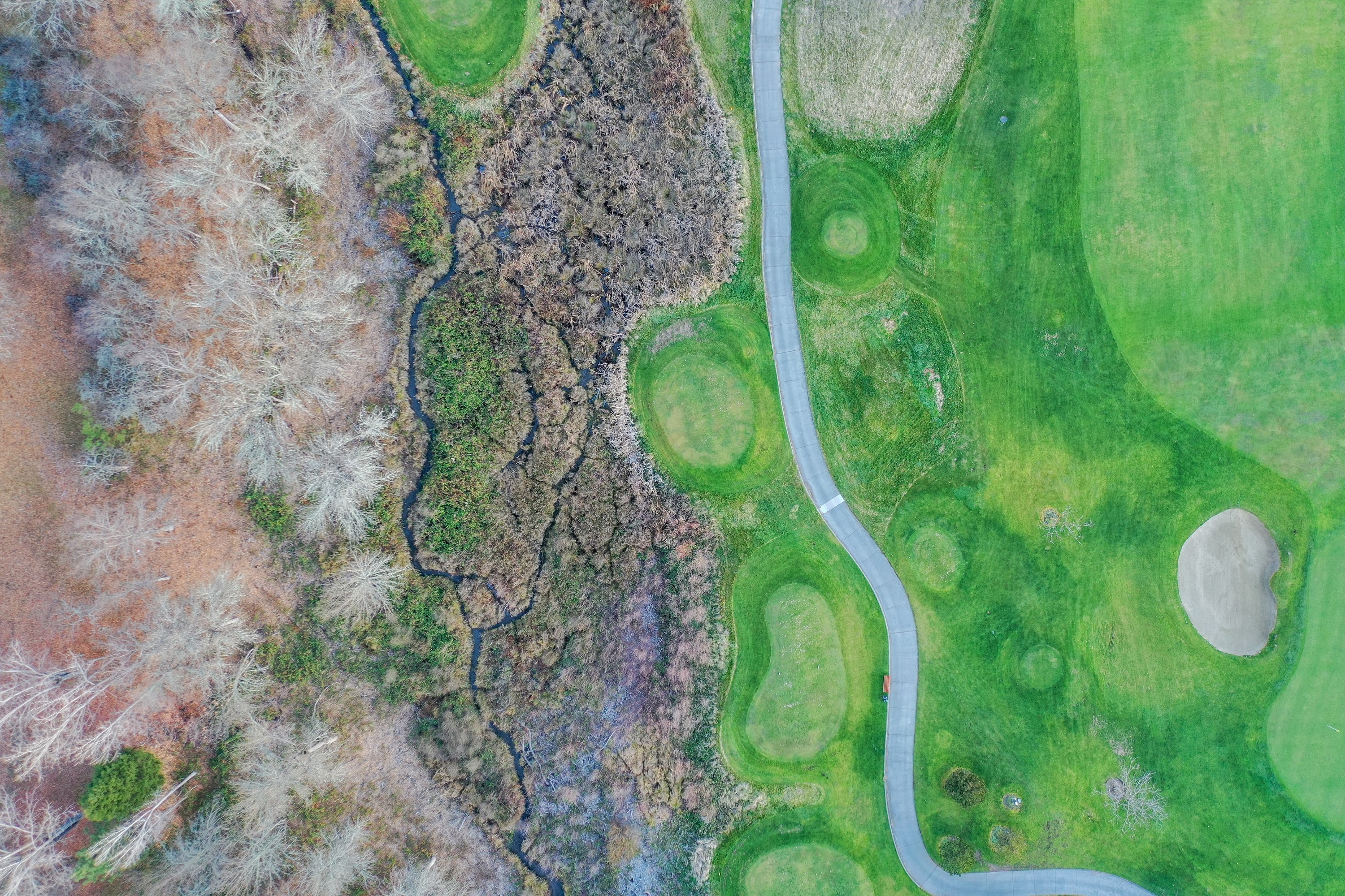 DJI_0365.jpg