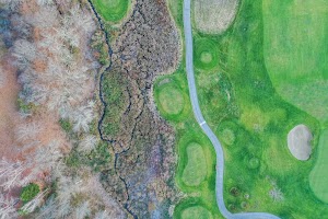 DJI_0365.jpg