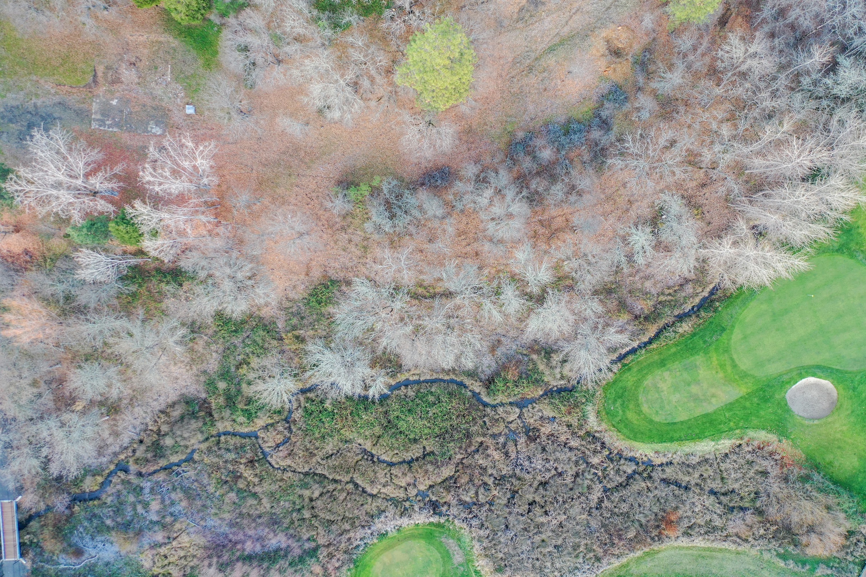 DJI_0368.jpg