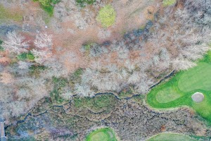 DJI_0368.jpg