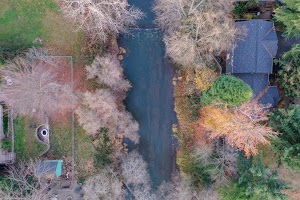 DJI_0390.jpg