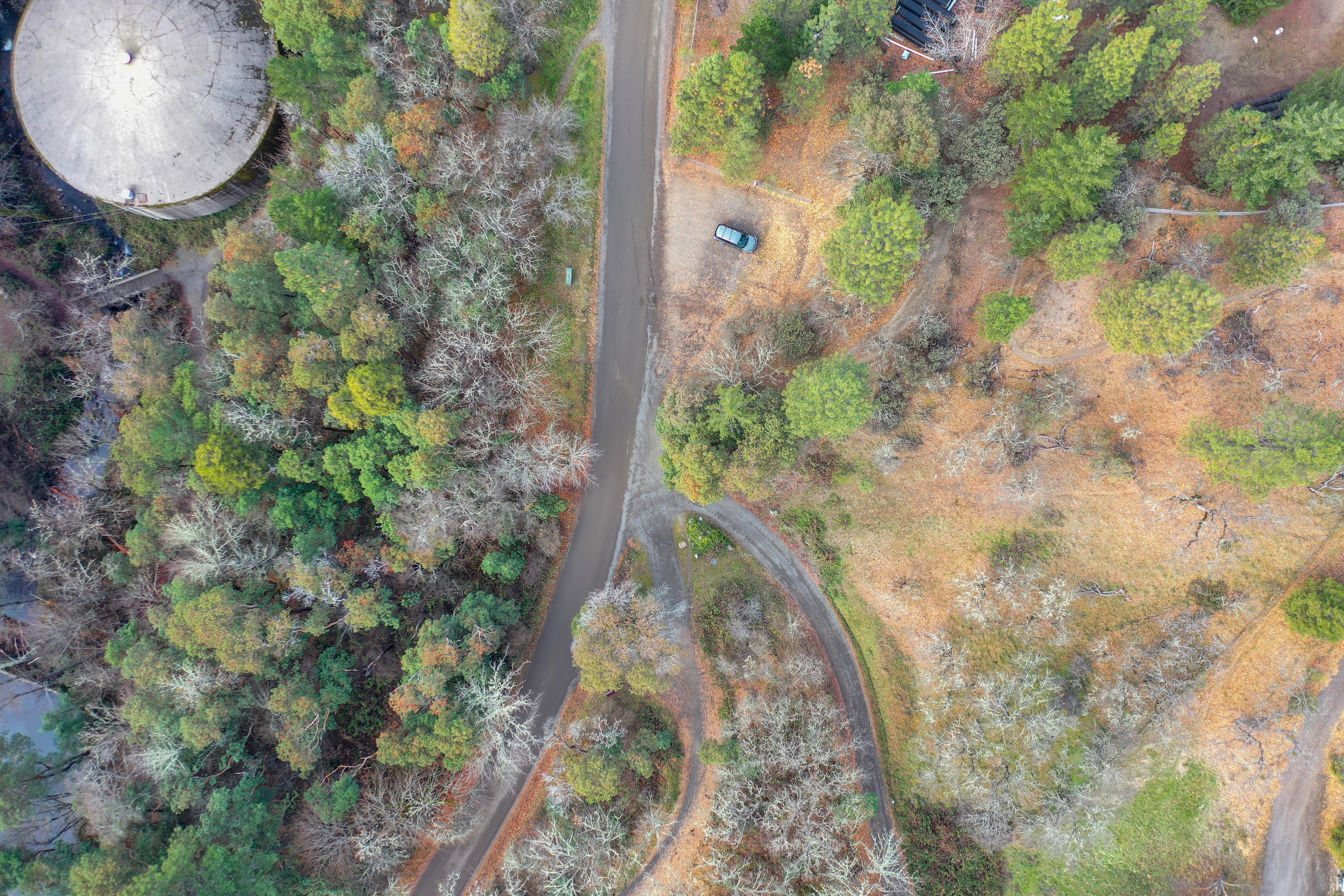 DJI_0425.jpg