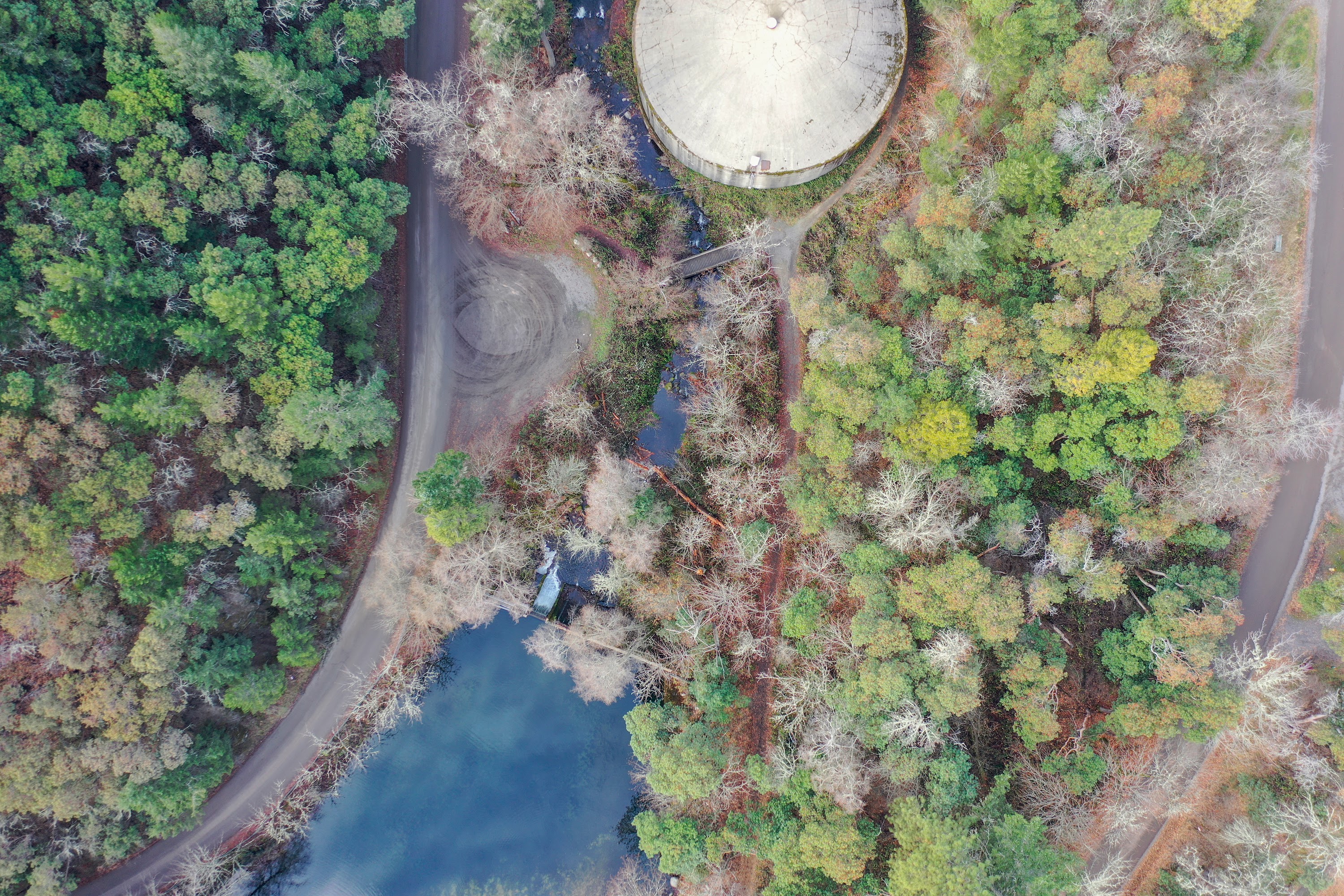 DJI_0426.jpg