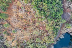 DJI_0427.jpg
